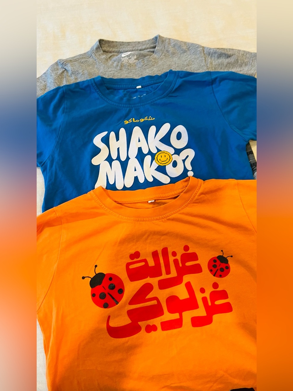 Set of 3 boys Graphic Tshirt
Blue "Shako Mako" gray Nike & Orange Ladybug size 6
